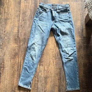 Banana Republic Blue Skinny Jeans